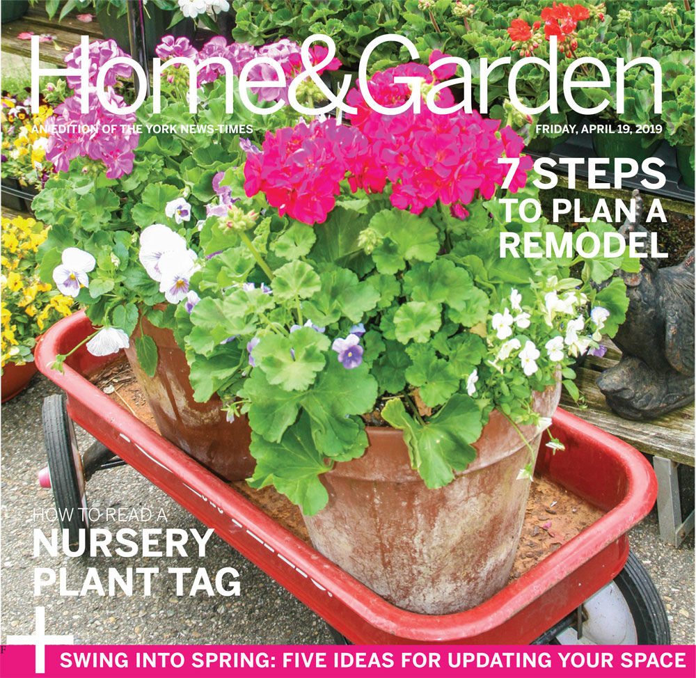 19 Home & Garden.indd